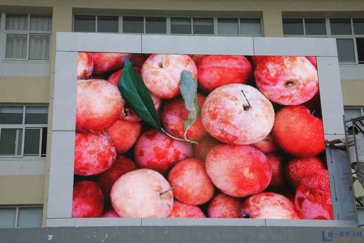 DVI Rental LED Screens 6500nit Brightness P4.81 Full Color LED Panels